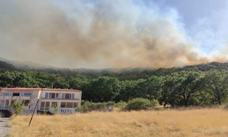 Φωτιά-σε-δασική-έκταση-στην-Καρδίτσα-–-Επιχειρούν-εναέρια-μέσα