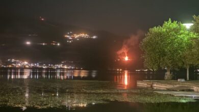 Φωτιά-στα-Γιάννενα-στην-περιοχή-Λιγκιάδες-–-Ισχυρές-δυνάμεις-στο-σημείο