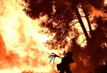 Φωτιά-στον-Φενεό-Κορινθίας:-Ολονύχτια-μάχη-με-τις-φλόγες-–-Δυο-συλλήψεις-για-εμπρησμό,-έκοβαν-με-τροχό-και-έκαναν-ηλεκτροκόλληση-μέσα-στο-δάσος