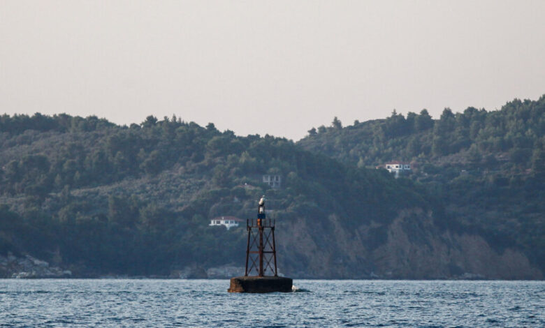 Θαλάσσια-πάρκα:-Πώς-η-Αθήνα-απέκρουσε-τη-νέα-προσπάθεια-«γκριζαρίσματος»-από-την-Άγκυρα-–-Στο-ραντάρ-του-Μαξίμου-οι-επόμενες-κινήσεις-Ερντογάν