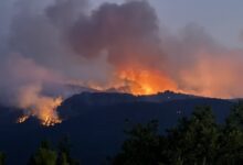 Κάηκαν-ζωντανοί-11-δασεργάτες-και-εθελοντές-στο-Εσκίσεχιρ-της-Τουρκίας