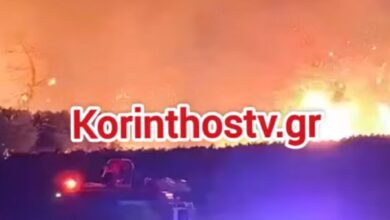 Φωτιά-στο-Ελληνοχώρι-Κορινθίας-–-Ισχυρές-δυνάμεις-στο-σημείο
