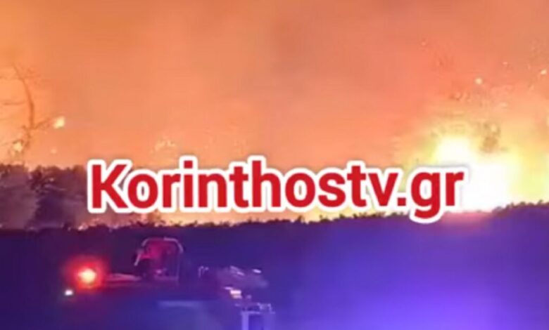Φωτιά-στο-Ελληνοχώρι-Κορινθίας-–-Ισχυρές-δυνάμεις-στο-σημείο