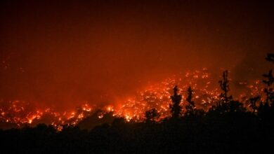 Φωτιά-στον-Φενεό-Κορινθίας:-Μάχη-με-τις-διάσπαρτες-εστίες-–-Δυο-πυροσβέστες-στο-νοσοκομείο