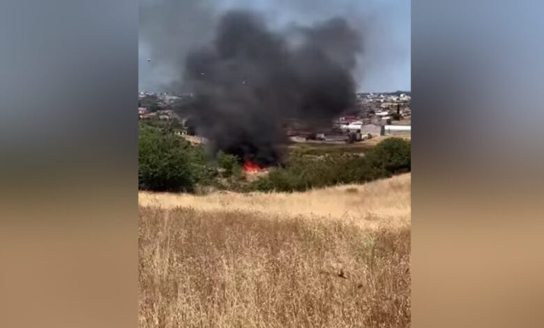 Φωτιά-στην-Αλεξανδρούπολη:-Μεγάλη-κινητοποίηση-της-πυροσβεστικής