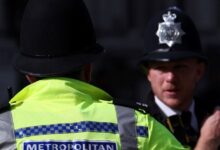 Κορνουάλη:-Ανατριχίλα-με-πολλά-πτώματα-σε-δάσος-–-Σενάρια-ακόμα-και-για-serial-killer