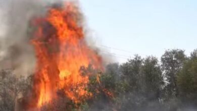 Κιλκίς:-Αποσοβήθηκε-ο-κίνδυνος-επέκτασης-της-φωτιάς-μέσα-στην-πόλη-–-Παραμένουν-διάσπαρτες-εστίες