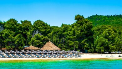 Ξεπούλησε-το-thessaly-evros-pass-–-Στις-180.000-οι-αιτήσεις-για-voucher