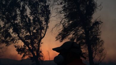 Φωτιά-στο-Κρυονέρι:-Η-Αστυνομία-ανακοίνωσε-νέες-κυκλοφοριακές-ρυθμίσεις