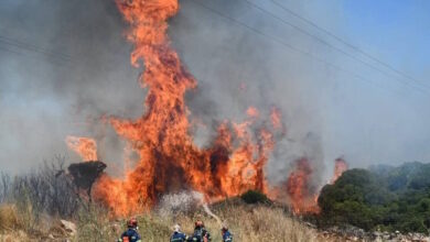 Φωτιές:-Σε-πύρινο-κλοιό-Κύθηρα,-Εύβοια,-Χανιά-και-Μεσσηνία-–-Μικρές-διάσπαρτες-εστίες-στο-Κρυονέρι