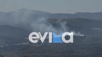 Φωτιά-στην-Εύβοια:-Μάχη-με-τις-αναζωπυρώσεις-–-Κάηκαν-χιλιάδες-ζώα-σε-κτηνοτροφικές-μονάδες