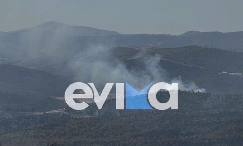 Φωτιά-στην-Εύβοια:-Μάχη-με-τις-αναζωπυρώσεις-–-Κάηκαν-χιλιάδες-ζώα-σε-κτηνοτροφικές-μονάδες