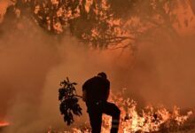Πολύ-υψηλός-κίνδυνος-για-φωτιά-την-Τρίτη-σε-Αττική,-Πελοπόννησο,-Κρήτη,-Θεσσαλία,-Δυτική-και-Στερεά-Ελλάδα