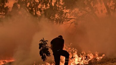 Πολύ-υψηλός-κίνδυνος-για-φωτιά-την-Τρίτη-σε-Αττική,-Πελοπόννησο,-Κρήτη,-Θεσσαλία,-Δυτική-και-Στερεά-Ελλάδα