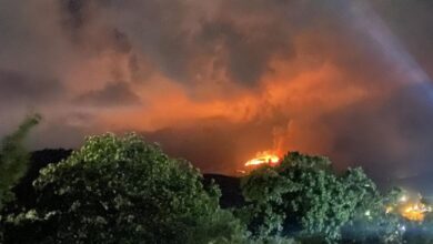 Φωτιά-στη-Μεσσηνία-στην-περιοχή-Μεταμόρφωση-–-Πνέουν-ισχυροί-άνεμοι