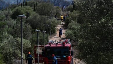 Μια-σύλληψη-για-εμπρησμό-στη-Θέρμη-–-Έβαλε-φωτιά-σε-ξερά-χόρτα