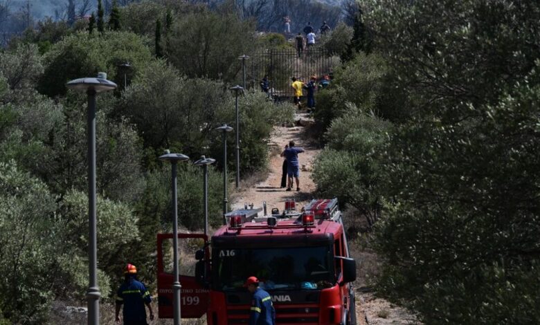 Μια-σύλληψη-για-εμπρησμό-στη-Θέρμη-–-Έβαλε-φωτιά-σε-ξερά-χόρτα