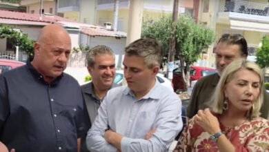 Η-Ζέττα-Μακρή-απάντησε-στον-Αχιλλέα-Μπέο:-«Βοσκοπούλα-είμαι,-επιδότηση-από-τον-ΟΠΕΚΕΠΕ-δεν-πήρα»