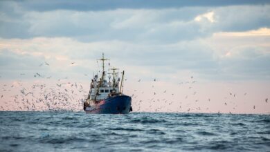 Μόσχα:-Ανεύθυνη-η-απόφαση-αποκλεισμού-των-ρωσικών-αλιευτικών-από-τη-νορβηγική-ΑΟΖ