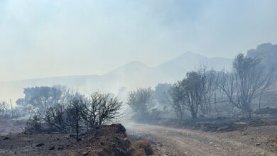 Βίντεο-από-τη-στιγμή-που-ξέσπασε-η-φωτιά-στο-Κορωπί-–-Η-κολόνα-ρεύματος-και-το-ακαθάριστο-οικόπεδο