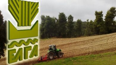 ΕΛΓΑ:-eνισχύσεις-6,2-εκατ.-ευρώ-σε-παραγωγούς-–-aποζημιώσεις-για-daniel,-elias