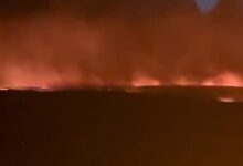 Πορτογαλία:-Σε-κατάσταση-συναγερμού-λόγω-των-πυρκαγιών-–-Πάνω-από-1.700-πυροσβέστες-στη-μάχη-με-τις-φλόγες