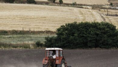 ΟΠΕΚΕΠΕ:-Παράταση-έως-29-Αυγούστου-για-τις-αιτήσεις-Ενιαίας-Αίτησης-Ενίσχυσης-2025