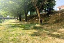 Δήμος-Τρικκαίων:-Μέριμνα-για-το-πράσινο-σε-πλατείες-και-σε-όχθες-του-Ληθαίου-(φωτο)