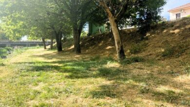 Δήμος-Τρικκαίων:-Μέριμνα-για-το-πράσινο-σε-πλατείες-και-σε-όχθες-του-Ληθαίου-(φωτο)