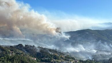 Πορτογαλία:-Τρεις-μεγάλες-δασικές-πυρκαγιές-σε-εξέλιξη-–-Σε-κατάσταση-συναγερμού-η-χώρα
