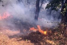 Τσουχτερό-πρόστιμο-για-φωτιά-σε-περιοχή-του-δήμου-Πύλης