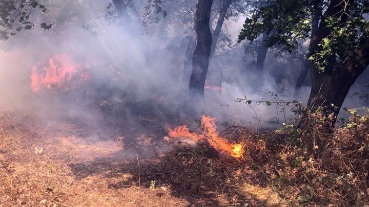 Τσουχτερό-πρόστιμο-για-φωτιά-σε-περιοχή-του-δήμου-Πύλης
