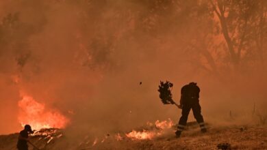 Μεγάλη-φωτιά-στη-Μεσσηνία-στην-περιοχή-Βασιλίτσι