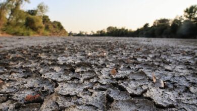 Σοβαρά-προβλήματα-ξηρασίας-στον-Πηνειό-–-aνησυχούν-οι-Θεσσαλοί-αγρότες