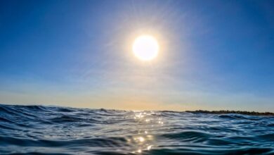 Ροδόπη:-Μπαράζ-νέων-συλλήψεων-για-τον-πνιγμό-της-11χρονης-–-Ανάμεσά-τους-η-αδελφή-της-και-η-ναυαγοσώστρια