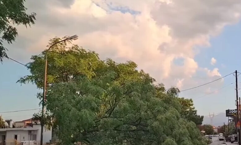 Καιρός-–-Τρίκαλα:-Ισχυρό-μπουρίνι-έριξε-δέντρα-και-μετέτρεψε-τους-δρόμους-σε-ποτάμια