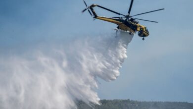 Φωτιά-στην-Αγναντιά-Καλαμπάκας-–-Επιχειρούν-7-εναέρια-μέσα