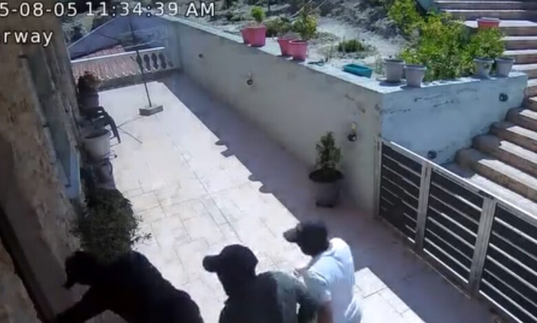 Βίντεο-–-ντοκουμέντο-από-εισβολή-σε-σπίτι-στην-Αρχαία-Κόρινθο:-Τέσσερις-κουκουλοφόροι-παραβιάζουν-κατοικία-μέρα-μεσημέρι