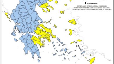 Περιφέρεια-Θεσσαλίας:-Σε-αυξημένη-ετοιμότητα-για-πιθανές-πυρκαγιές