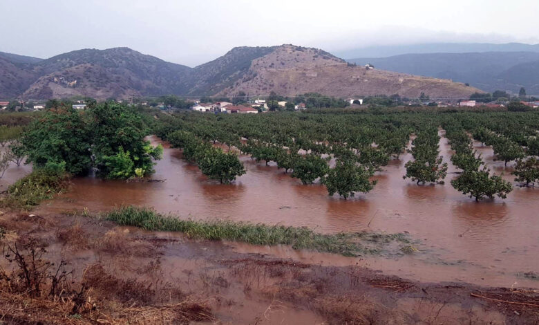 Θεσσαλία:-Αποζημιώσεις-12-εκατ.-ευρώ-για-πλημμυρισμένα-χωράφια-με-“φερτά”-υλικά