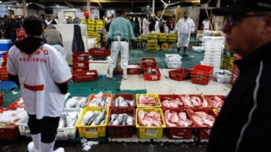 Σε-ισχύ-τέθηκαν-οι-δασμοί-50%-των-ΗΠΑ-σε-πολλά-εισαγόμενα-προϊόντα-της-Βραζιλίας