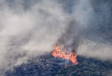 Φωτιά-στην-Αιτωλοακαρνανία:-Καίγεται-δάσος-στην-περιοχή-Ξηρόμερο