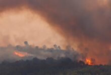 Κάηκαν-80.000-στρέμματα-βλάστησης-σε-πυρκαγιά-στη-νότια-Γαλλία-–-Ένας-νεκρός