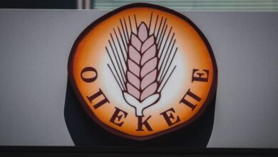 ΟΠΕΚΕΠΕ:-Προκαταρκτική-εξέταση-για-τη-Σεμερτζίδου-της-ΝΔ-και-μέλη-της-οικογένειάς-της