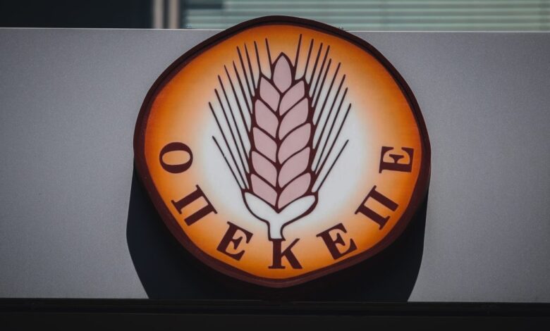 ΟΠΕΚΕΠΕ:-Προκαταρκτική-εξέταση-για-τη-Σεμερτζίδου-της-ΝΔ-και-μέλη-της-οικογένειάς-της