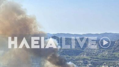 Φωτιά-στην-Αρχαία-Ολυμπία-στην-περιοχή-Χελιδόνι-–-Απομακρύνθηκε-εγκαυματίας,-μήνυμα-από-το-112-για-ετοιμότητα- 