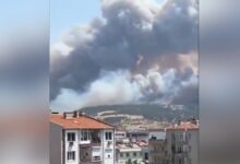 Τουρκία:-Μεγάλη-φωτιά-στα-Δαρδανέλλια-–-Διακόπηκε-η-ναυσιπλοΐα-λόγω-καπνού