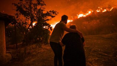 Φωτιά-στην-Αρχαία-Ολυμπία:-Δραματική-η-κατάσταση-στην-Ηράκλεια,-μπήκαν-οι-φλόγες-στο-χωριό-–-Μπαράζ-εκκενώσεων-με-απανωτά-112