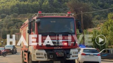 Αρχαία-Ολυμπία:-Συνελήφθη-άνδρας-που-άρπαξε-πυροσβεστικό-όχημα-για-να-σβήσει-τη-φωτιά
