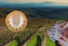 Στο-“κάδρο”-Τρικαλινός-κτηνοτρόφος-για-επιδοτήσεις-770.000-ευρώ-το-2024-–-tι-απαντά